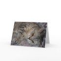Linnea Cat quote card