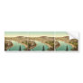 Lintz (i.e., Linz), general view, Upper Austria, A Bumper Sticker