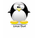 Linux Gurl t-shirts by linuxchix Linux Gurl t-shirts