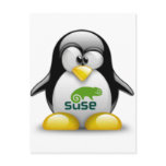 Linux Suse Tux Post Card