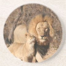 Lion and Cub Coasters