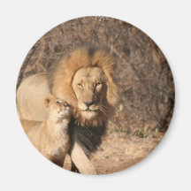 Lion and Lion Cub Magnet