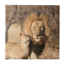 Lion and Lion Cub Tile