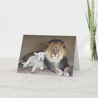 Lion and the lamb cards