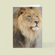 lion art