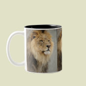 Lion Art