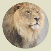 lion art