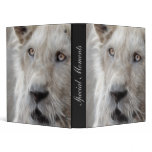 Lion as cat binders