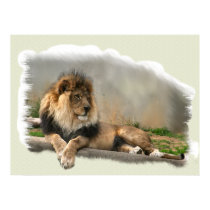 Lion At Rest Lion Lovers Art posters by WildByDezign Lion At Rest Lion Lovers Art posters