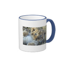 Lion baby coffee mug