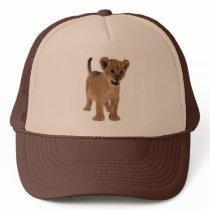 Lion Baby Hat by norman888 Lion Baby Hat