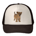 Lion Baby Hat