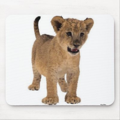 Lion Baby Mousepad by norman888