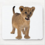 Lion Baby Mousepad