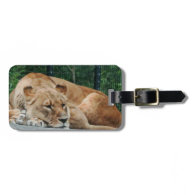 Lion Bag Tag