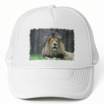 Lion  Baseball Hat