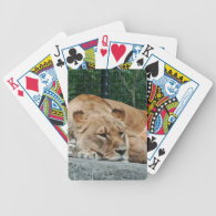 Lion Bicycle Poker Cards