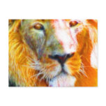 *Lion* Big Cat Spirit Designs postcards
