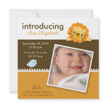Lion & Birdie Designer Birth Announcement (orange)