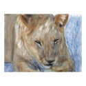 Lion Blue posters