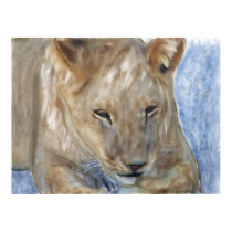 Lion Blue posters