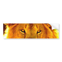 Lion Bumper Sticker