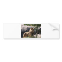 LION BUMPER STICKER