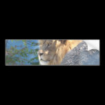 Lion bumper stickers