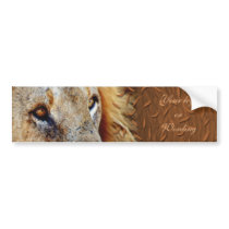 Lion bumpersticker