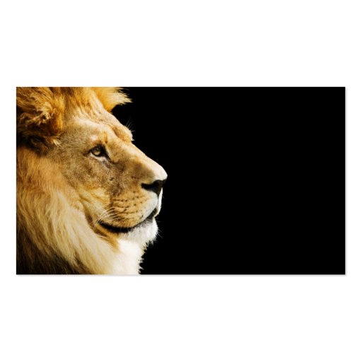Lion Business Card Template