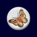Lion Butterfly Magnet