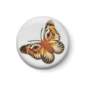 Lion Butterfly Magnet