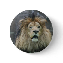 Lion  Button