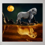 Lion by moonlight poster