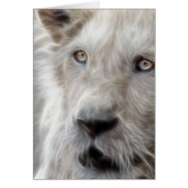 Lion cards by laureenr Lion cards
