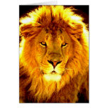 Lion Cards