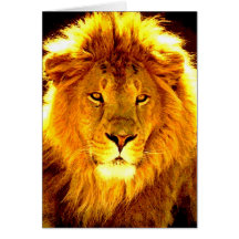 Lion Cards