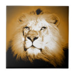 Lion Ceramic Tiles