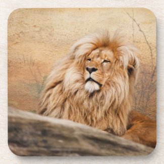 Lion Cork Coaster