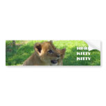 Lion Cub Bumper Sticker bumper stickers
