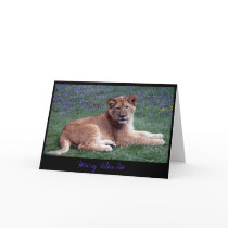 Lion Cub cards by KiraDott Lion Cub cards