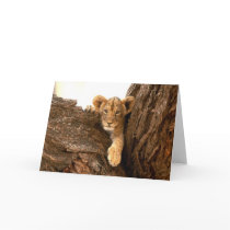 Lion Cub Card