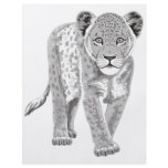 Lion Cub flyers