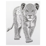 Lion Cub letterhead