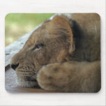 Lion Cub Mouse Mat