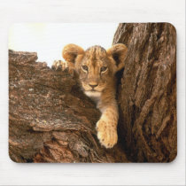 Lion Cub Mouse Mats