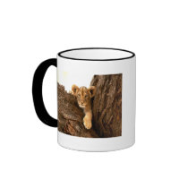 Lion Cub Coffee Mugs