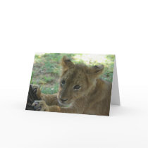 Lion Cub Note Card 3