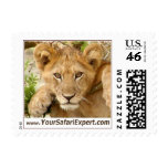 Lion Cub on Tree Branch Postage Stamp (small)