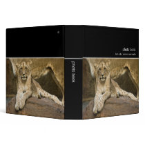 Lion Cub · Photo Book binders by SabineSt Lion Cub · Photo Book binders